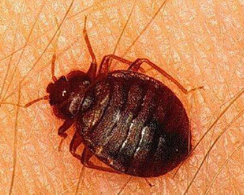 1644311352810051561.jpg 7.jpg