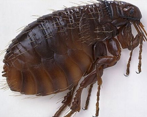 1644313156593015140.jpg 13.jpg